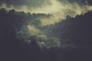 resized_23_fallback