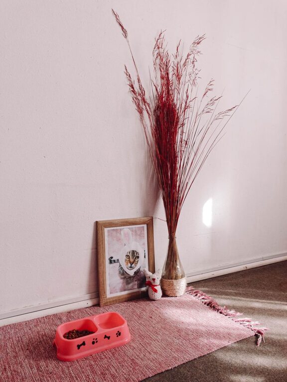 Post: How to set up a pet-friendly home corner